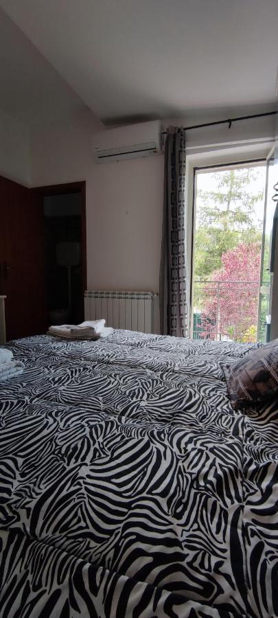 Il Ruscello Bed & Breakfast San Severino ภายนอก รูปภาพ